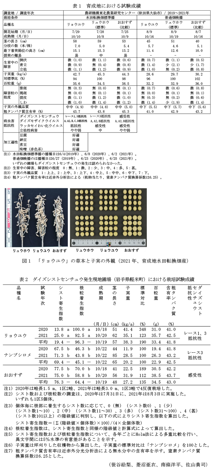 表1 育成地における試験成績,図1 「リョウユウ」の草本と子実の外観(2021年、育成地水田転換畑産),表2 ダイズシストセンチュウ発生現地圃場(岩手県軽米町)における栽培試験成績