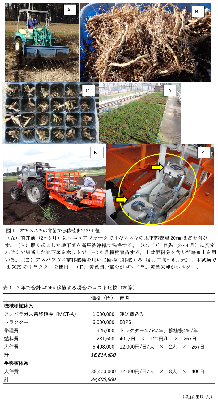 図1 オギススキの育苗から移植までの工程,表1 7年で合計400ha移植する場合のコスト比較(試算)