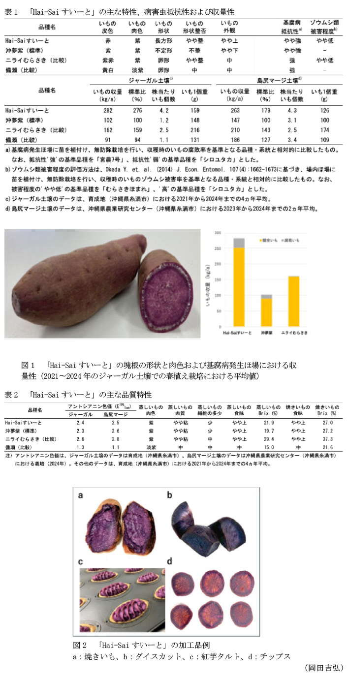 表1 「Hai-Saiすいーと」の主な特性、病害虫抵抗性および収量性,図1 「Hai-Saiすいーと」の塊根の形状と肉色および基腐病発生ほ場における収量性(2021～2024年のジャーガル土壌での春植え栽培における平均値),図2 「Hai-Saiすいーと」の加工品例