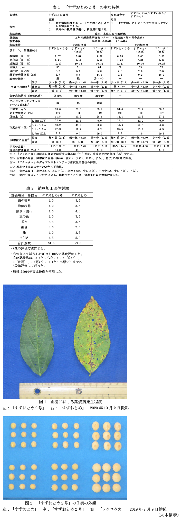 表1 「すずおとめ2号」の主な特性,表2 納豆加工適性試験,図1 圃場における葉焼病発生程度,図2 「すずおとめ2号」の子実の外観