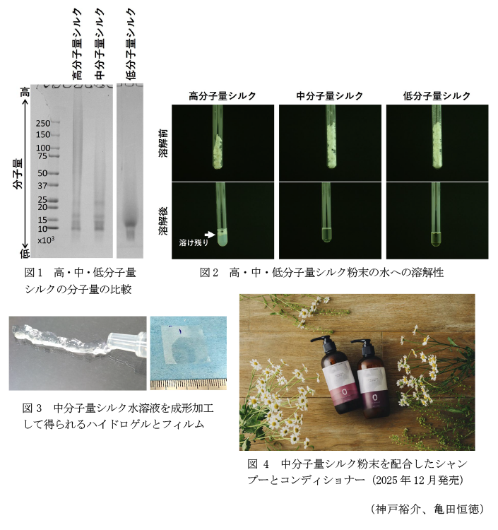 図1 高・中・低分子量シルクの分子量の比較,図2 高・中・低分子量シルク粉末の水への溶解性,図3 中分子量シルク水溶液を成形加工して得られるハイドロゲルとフィルム,図4 中分子量シルク粉末を配合したシャンプーとコンディショナー(2025年12月発売)