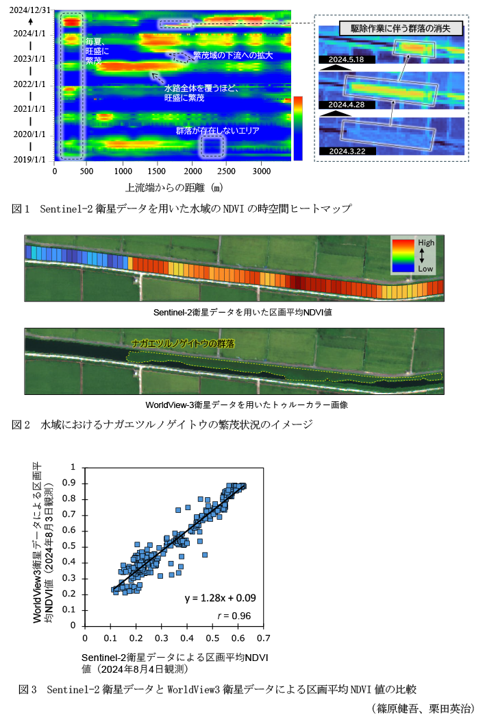 図1 Sentinel-2衛星データを用いた水域のNDVIの時空間ヒートマップ,図2 水域におけるナガエツルノゲイトウの繁茂状況のイメージ,図3 Sentinel-2衛星データとWorldView3衛星データによる区画平均NDVI値の比較