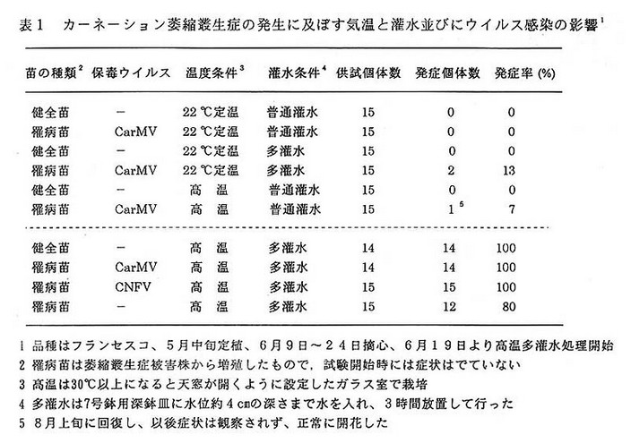 表1 カーネーション萎縮叢生症の発生に及ぼす気温と灌水並びにウイルス感染の影響
