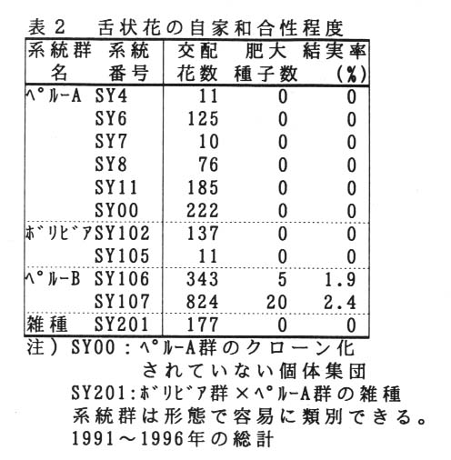 表2 舌状花の自家和合性程度