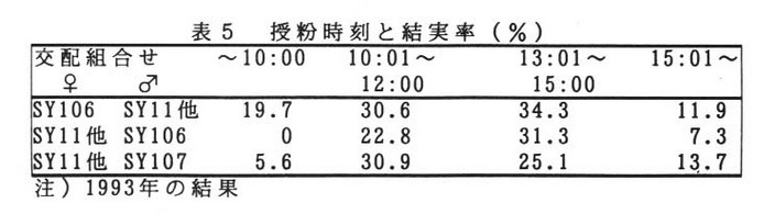 表5 授粉時刻と結実率