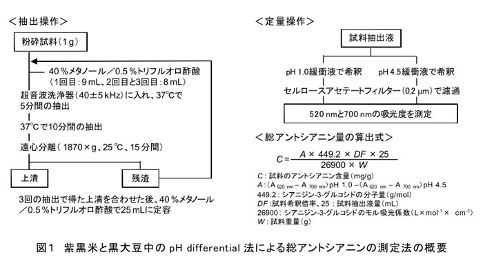 図1 紫黒米と黒大豆中のpH differential法による総アントシアニンの測定法の概要