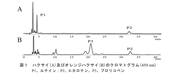 図1 ハクサイ(A)及びオレンジハクサイ(B)のクロマトグラム(450nm) P1、ルテイン;P2、β-カロテン、P3、プロリコペン