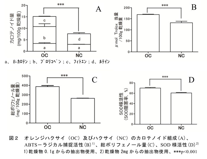 図2 オレンジハクサイ(OC)及びハクサイ(NC)のカロテノイド組成(A)、 ABTS-ラジカル捕捉活性(B)1)、総ポリフェノール量(C)、SOD様活性(D)2) 1)乾燥物0.1gからの抽出物使用、2)乾燥物2mgからの抽出物使用、***p<0.001