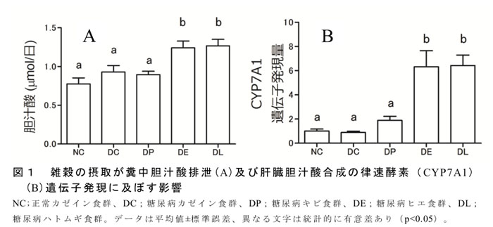 図1 雑穀の摂取が糞中胆汁酸排泄(A)及び肝臓胆汁酸合成の律速酵素(CYP7A1)(B)遺伝子発現に及ぼす影響