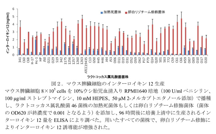 図2.マウス脾臓細胞のインターロイキン12生産