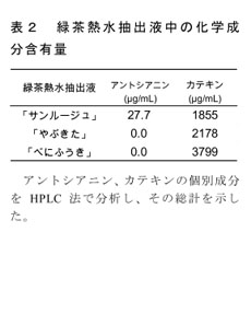 表2 緑茶熱水抽出液中の化学成分含有量