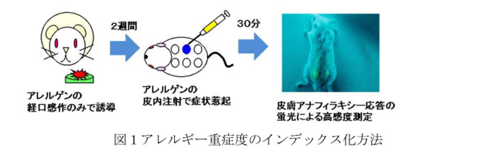 図1アレルギー重症度のインデックス化方法