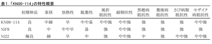 表1 「KN00-114」の特性概要