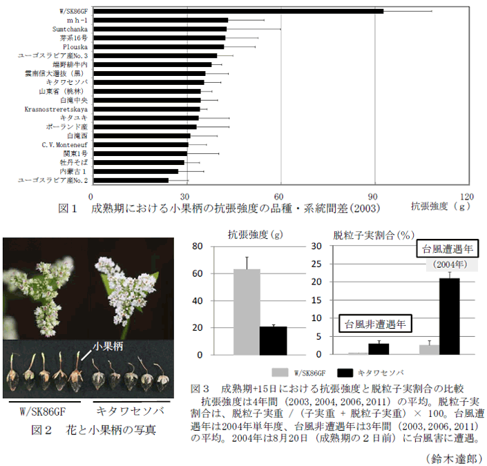 図1～3