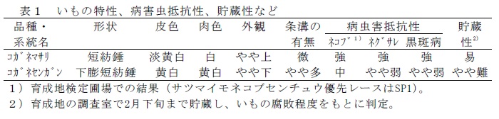 表1  いもの特性、病害虫抵抗性、貯蔵性など