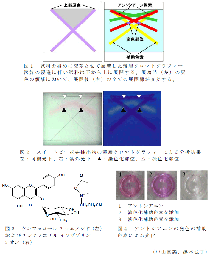 図1～4