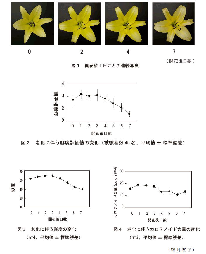 図1～4