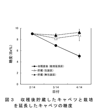 図3 収穫後貯蔵したキャベツと栽培を延長したキャベツの糖度