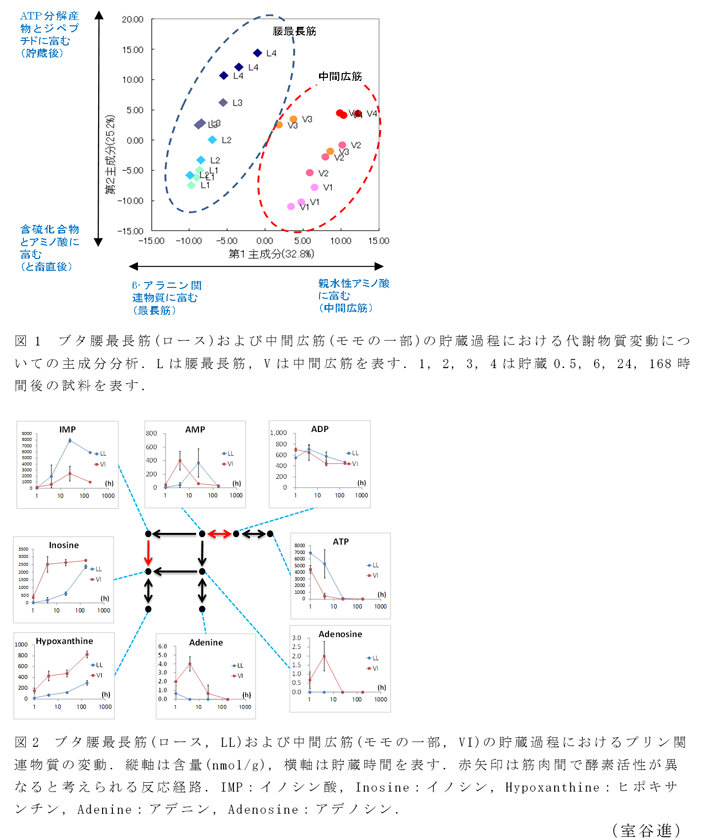 図1