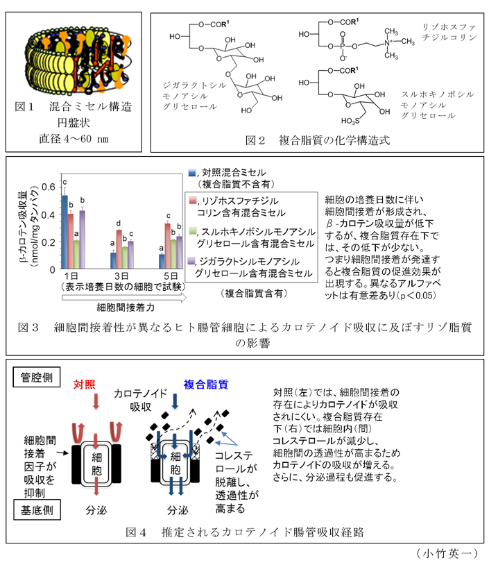 図1