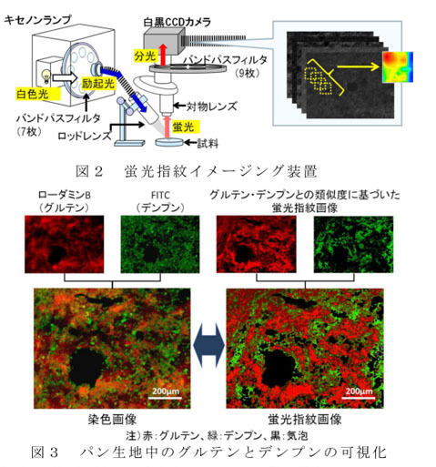 図2 蛍光指紋イメージング装置