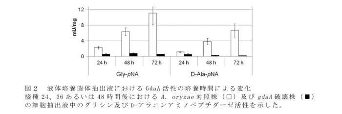 図2 液体培養菌体抽出液におけるGdaA活性の培養時間による変化