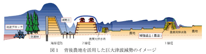 図1 背後農地を活用した巨大津波減勢のイメージ