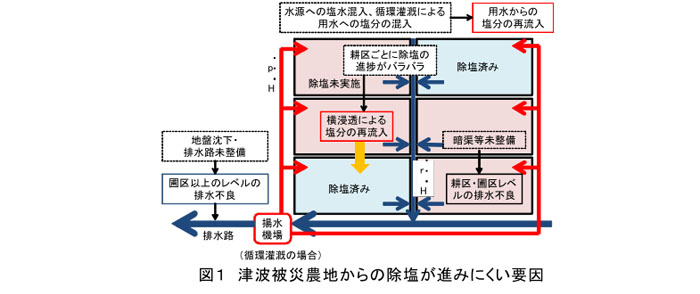 図1 津波被災農地からの除塩が進みにくい要因