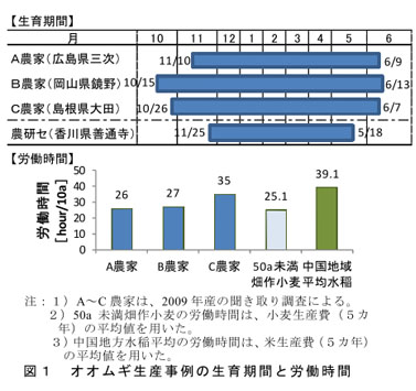 図1 オオムギ生産事例の生育期間と労働時間