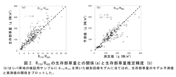 図2. R770/R485の生存部草量との関係(a)と生存部草量推定精度 (b)