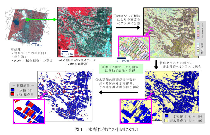 図1 水稲作付けの判別の流れ