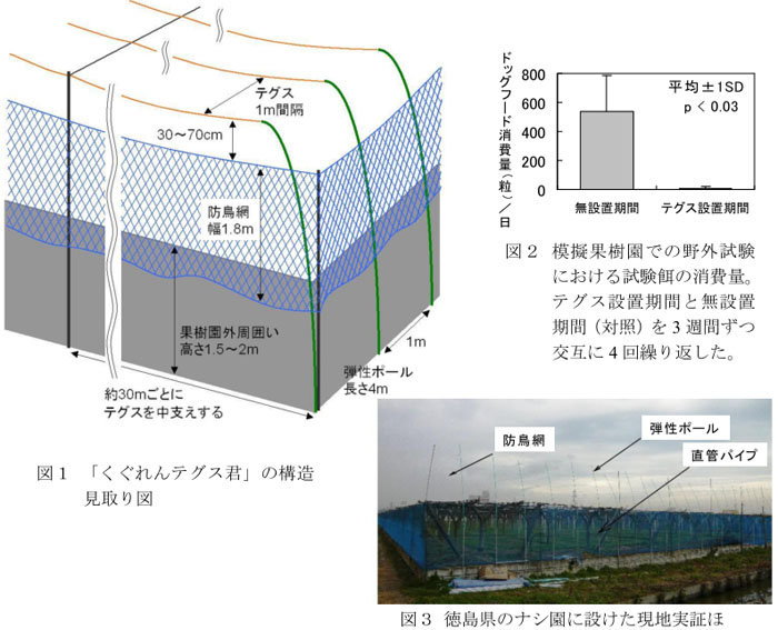 図1 「くぐれんテグス君」の構造見取り図