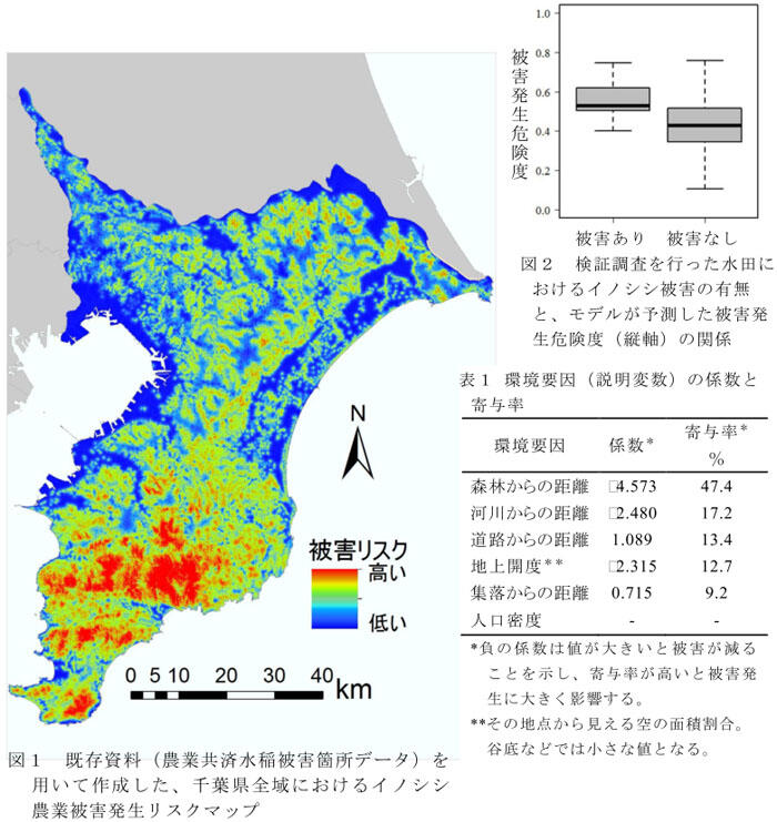 図1 既存資料(農業共済水稲被害箇所データ)を用いて作成した、千葉県全域におけるイノシシ農業被害発生リスクマップ,図2 検証調査を行った水田におけるイノシシ被害の有無と、モデルが予測した被害発生危険度(縦軸)の関係,表1 環境要因(説明変数)の係数と寄与率