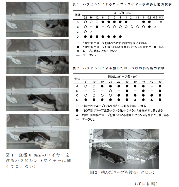 表1～2、図1～2