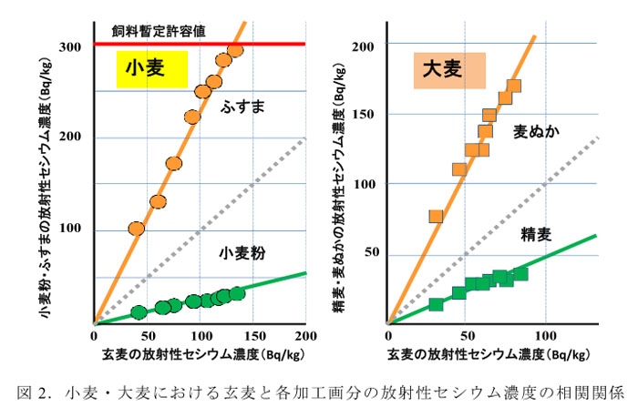 図2.小麦・大麦における玄麦と各加工画分の放射性セシウム濃度の相関関係