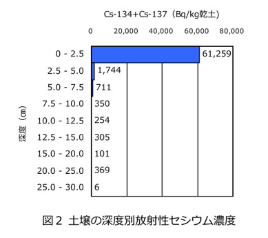 図2 土壌の深度別放射性セシウム濃度