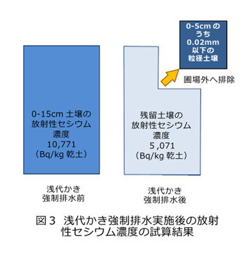 図3 浅代かき強制排水実施後の放射性セシウム濃度の試算結果