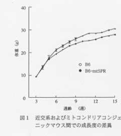 図1.近交胚およびミトコンドリアコンジェニックマウス間での成長度の差異