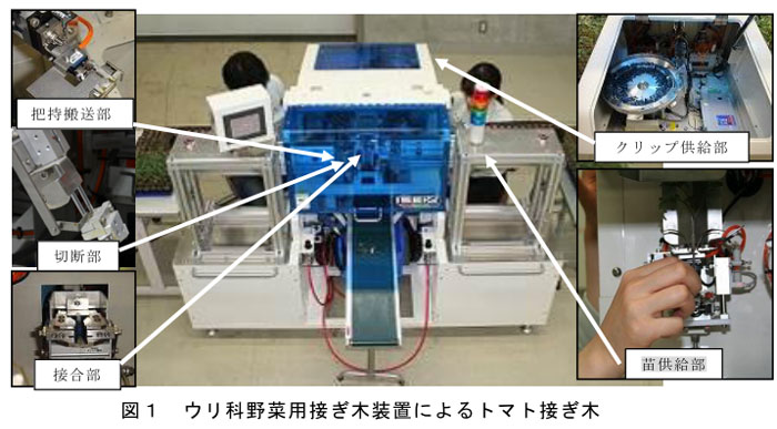 図1 ウリ科野菜用接ぎ木装置によるトマト接ぎ木