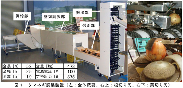 図1 タマネギ調製装置