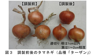 図3 調製前後のタマネギ(品種「ターザン」)