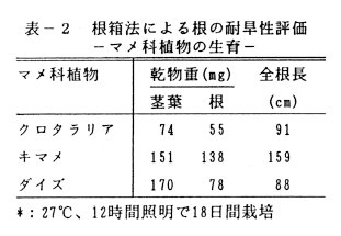 表2 根箱法による根の耐旱性評価