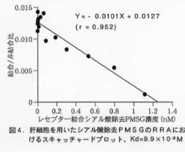 図4 肝細胞を用いたシアル酸除去PMSGのRRAにおけるスキャッチャードプロット