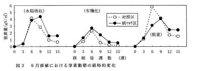図3 6月移植における窒素動態の経時的変化