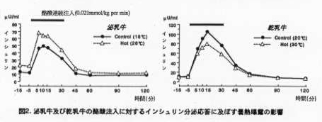 図2 泌乳牛および乾乳牛の酪酸注入に対するインシュリン分泌応答に及ぼす暑熱曝露の影響