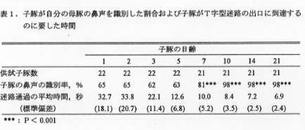 表1 子豚が自分の母豚の鼻声を識別した割合および子豚がT字型迷路の出口に到達するのに要した時間