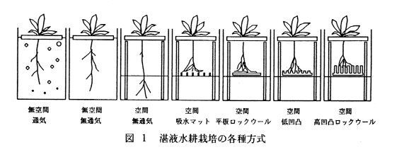 図1 湛液水耕栽培の各種方式