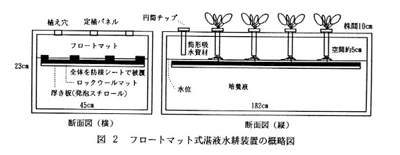 図2 フロートマット式湛液水耕装置の概略図