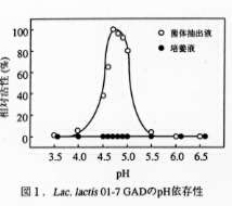 図1 Lac.lactis 01-7GADのpH依存性
