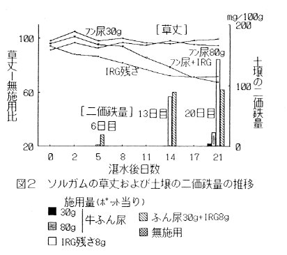図2 ソルガムの草丈および土壌の二価鉄量の推移
